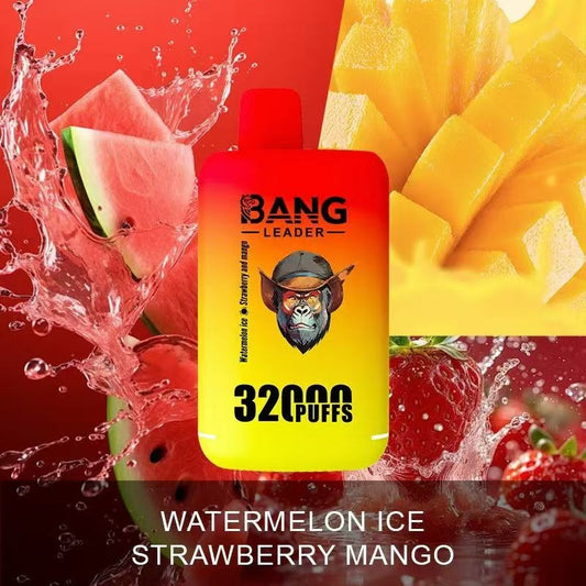 Bang Leader 32000 Puffs 32K Dual Flavors Vape jetable Wholesale