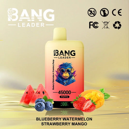 Bang Leader 45000 Puffs 45k 2 in 1 Disposable Vape Smart Screen Wholesale