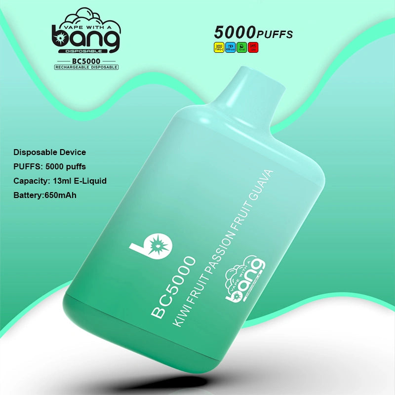Bang BC 5000 Puffs 5K Vape Cigarette électronique jetable Wholesale
