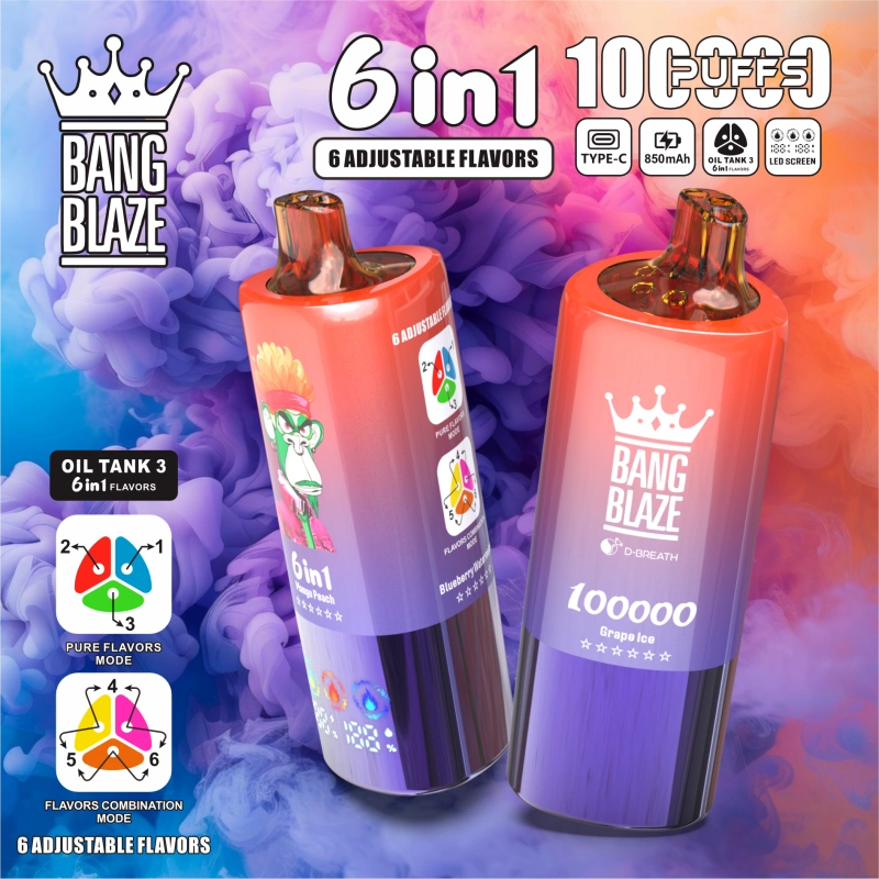 Bang Blaze 100000 Puffs 100K 6 en 1 Wholesale Vape Shop Cigarette électronique jetable