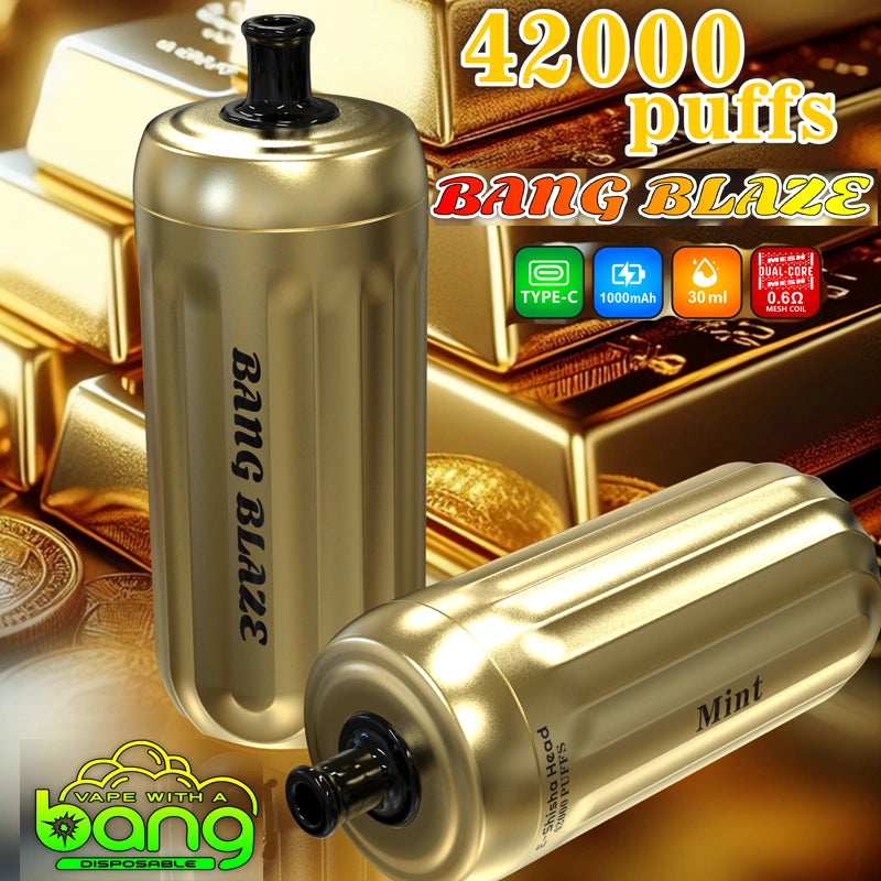 Bang Blaze 42000 Puffs 42K Vape jetable Wholesale E-Shisha Head