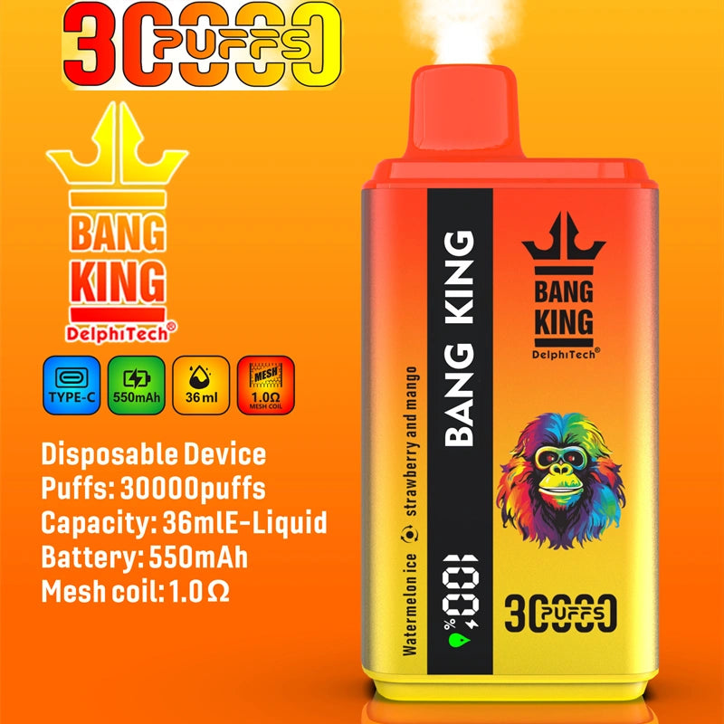 EU Warehouse Bang King 30000 Puffs 2 in 1 Dual Flavors 2025 Disposable Vape 30K Electronic Cigarette Wholesale