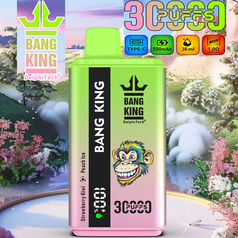 EU Warehouse Bang King 30000 Puffs 2 in 1 Dual Flavors 2025 Disposable Vape 30K Electronic Cigarette Wholesale