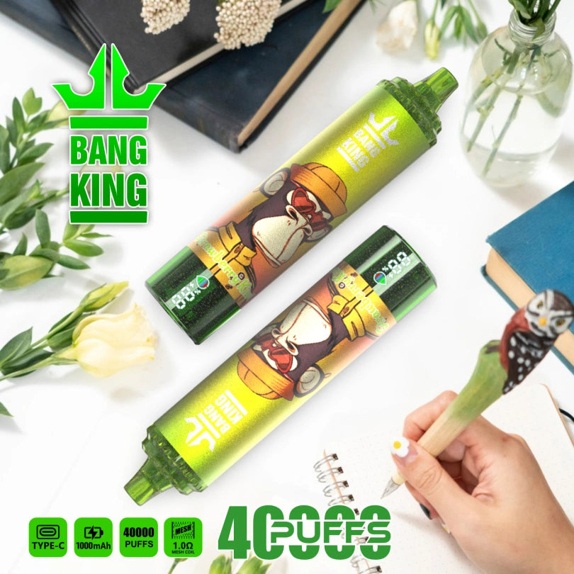 Bang King 40000 Puffs 40K Wholesale Vape Online Livraison Rapide Tax Free