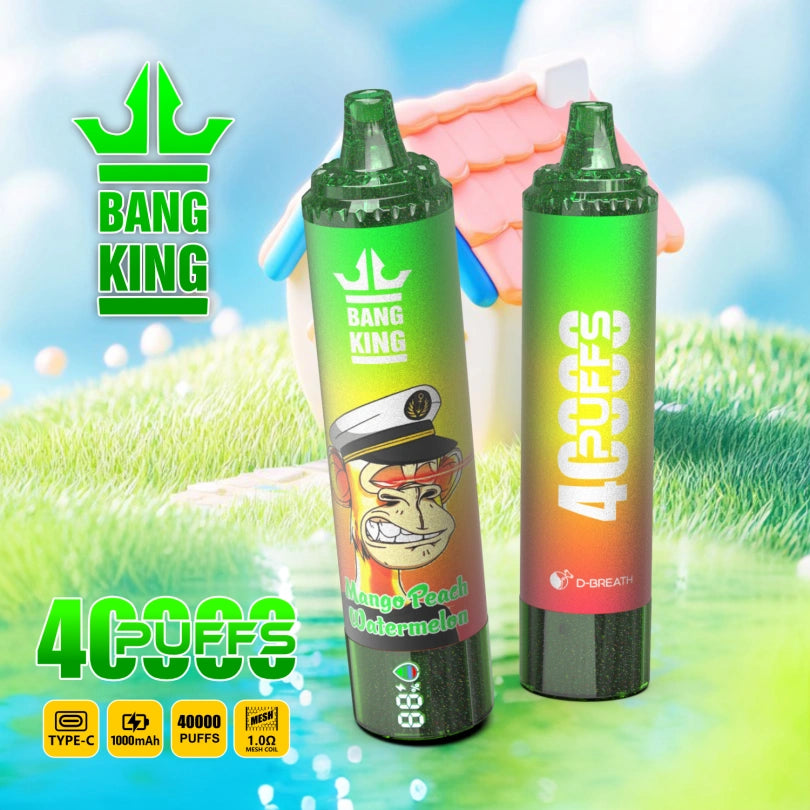 Bang King 40000 Puffs 40K Wholesale Vape Online Livraison Rapide Tax Free