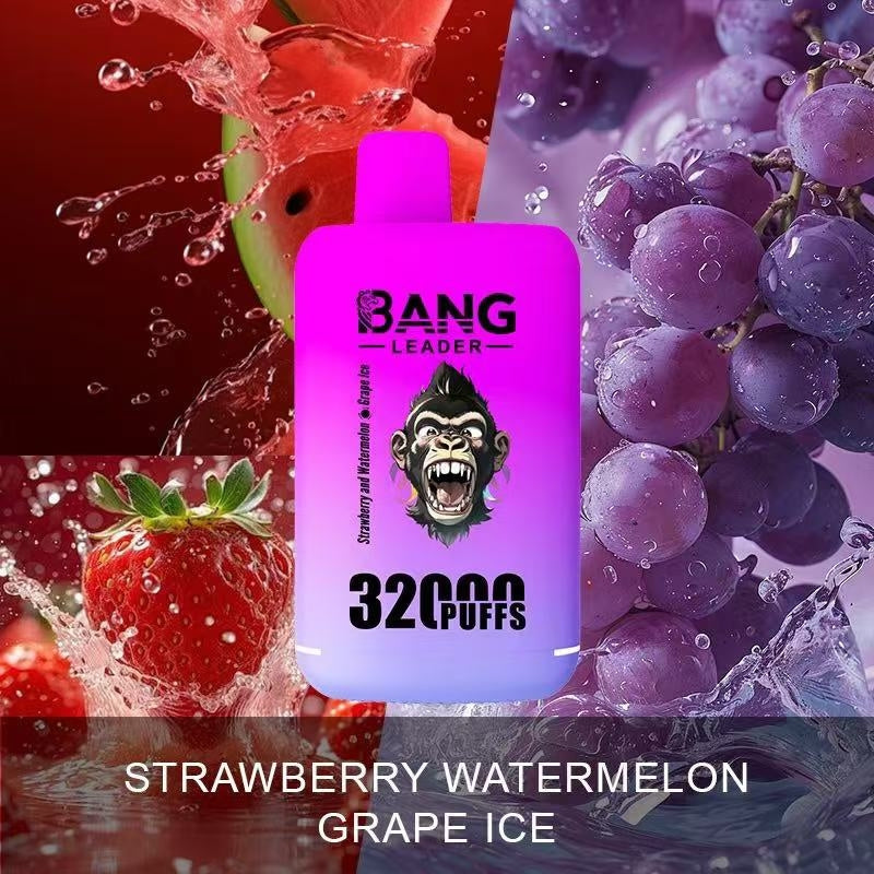 Bang Leader 32000 Puffs 32K Dual Flavors Vape jetable Wholesale