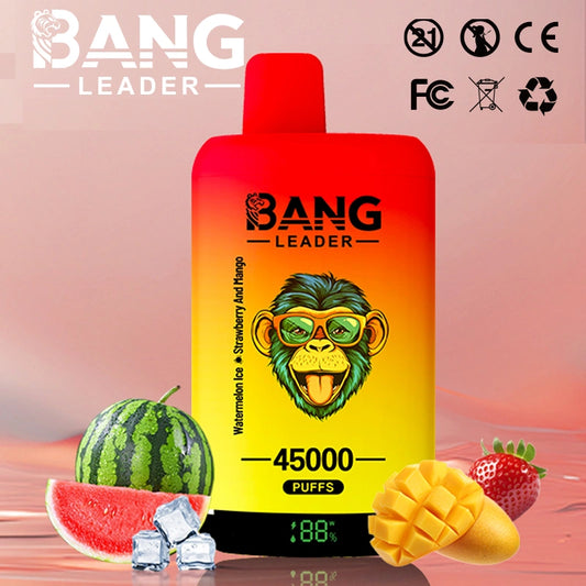 Bang Leader 45000 Puffs 45k  2 in 1 Disposable Vape Smart Screen Wholesale