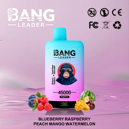 Bang Leader 45000 Puffs 45k  2 in 1 Disposable Vape Smart Screen Wholesale