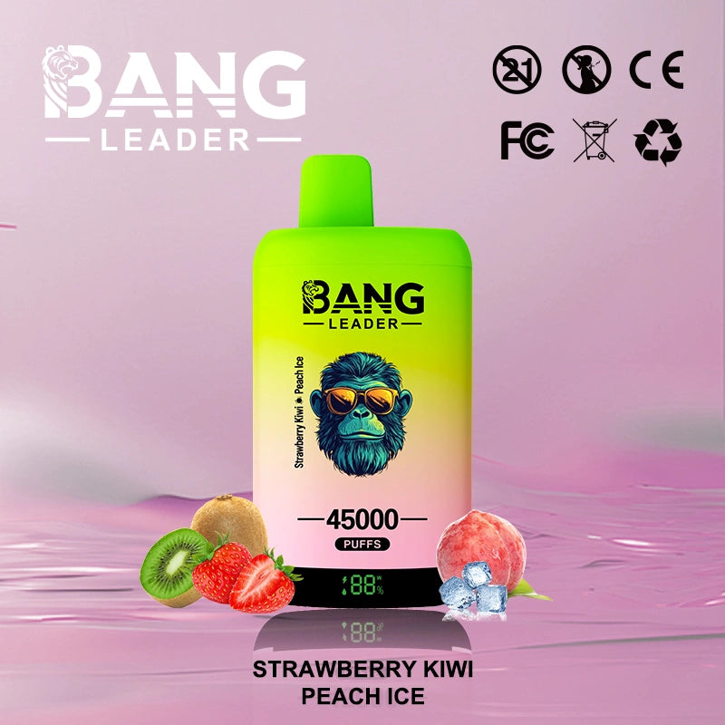 Bang Leader 45000 Puffs 45k  2 in 1 Disposable Vape Smart Screen Wholesale