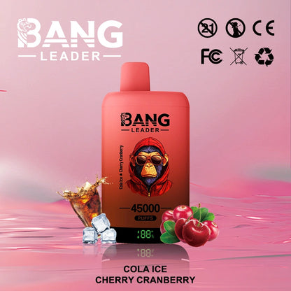 Bang Leader 45000 Puffs 45k  2 in 1 Disposable Vape Smart Screen Wholesale
