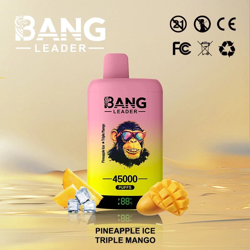Bang Leader 45000 Puffs 45k  2 in 1 Disposable Vape Smart Screen Wholesale