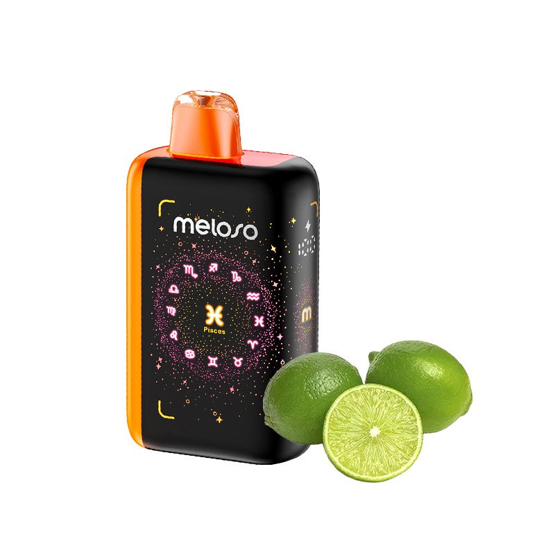 Geek Bar Meloso Bar 30000 Disposable Vape 18ml 5%