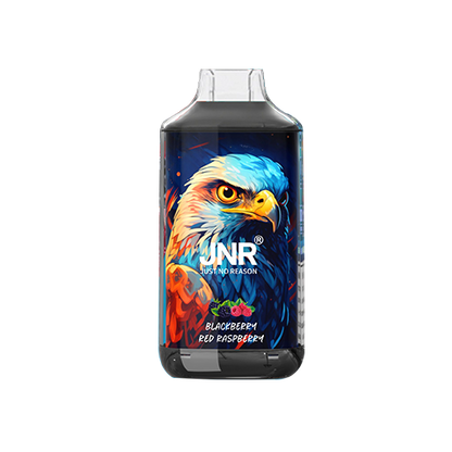 JNR Falcon 16000 Puffs Disposable Vape