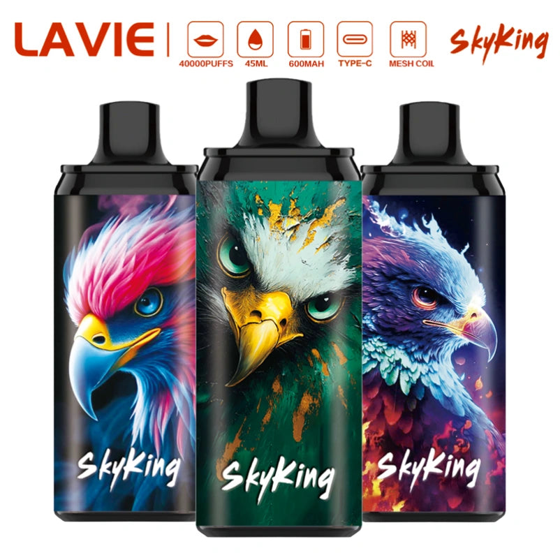 Lavie 40000 Puffs 40K Skyking Wholesale Vape Best Disposable E Cigarette