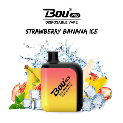 Bou Pro 7000 Kit Rechargeable