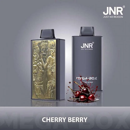 JNR Mega Box 25000 Puffs Dual Mesh Disposable Vape – Unleash Intense Satisfaction-850mAh Battery, 30ml E-liquid, Multiple Nicotine 18 Flavors