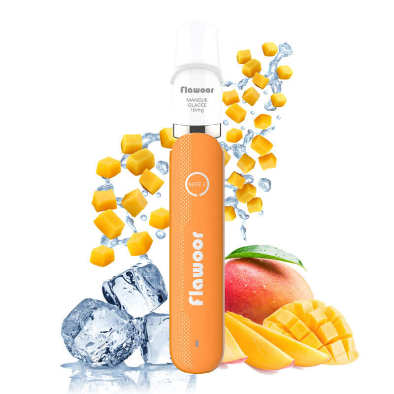 FLAWOOR Mate 2 - Pod Jetable 600 Puffs