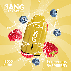 Bang Leader 18K Disposable Vape – Pure Flavor | 18,000 Puffs | Porsche Design | Smooth Taste