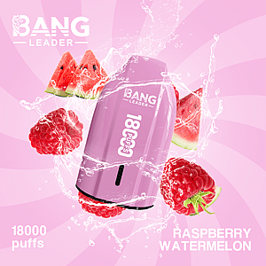 Bang Leader 18K Disposable Vape – Pure Flavor | 18,000 Puffs | Porsche Design | Smooth Taste