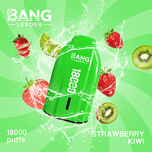 Bang Leader 18K Disposable Vape – Pure Flavor | 18,000 Puffs | Porsche Design | Smooth Taste