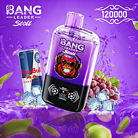 Bang Leader 120K Dual-Flavor Pod | Magnetic Slide Switch | 120,000 Puffs | Fresh Swap Technology Disposable Vape
