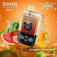 Bang Leader 120K Dual-Flavor Pod | Magnetic Slide Switch | 120,000 Puffs | Fresh Swap Technology Disposable Vape