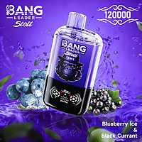 Bang Leader 120K Dual-Flavor Pod | Magnetic Slide Switch | 120,000 Puffs | Fresh Swap Technology Disposable Vape