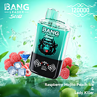Bang Leader 120K Dual-Flavor Pod | Magnetic Slide Switch | 120,000 Puffs | Fresh Swap Technology Disposable Vape