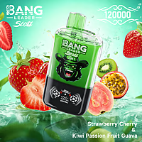 Bang Leader 120K Dual-Flavor Pod | Magnetic Slide Switch | 120,000 Puffs | Fresh Swap Technology Disposable Vape