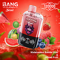 Bang Leader 120K Dual-Flavor Pod | Magnetic Slide Switch | 120,000 Puffs | Fresh Swap Technology Disposable Vape