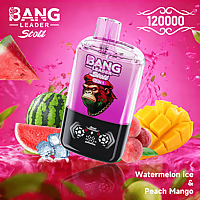 Bang Leader 120K Dual-Flavor Pod | Magnetic Slide Switch | 120,000 Puffs | Fresh Swap Technology Disposable Vape