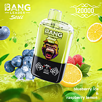Bang Leader 120K Dual-Flavor Pod | Magnetic Slide Switch | 120,000 Puffs | Fresh Swap Technology Disposable Vape