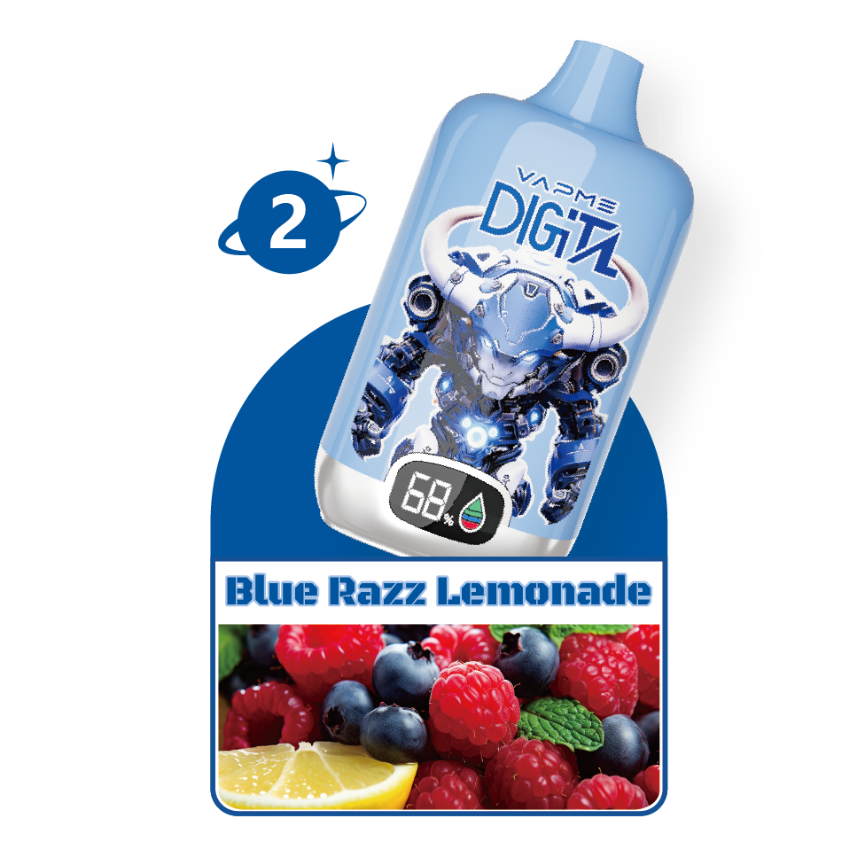 Vapme Digital 12000 Puffs Digital Display Vape