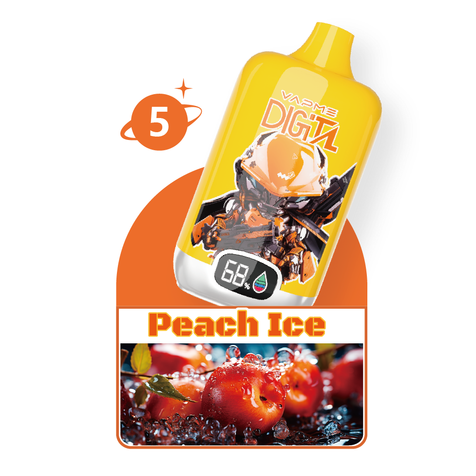 Vapme Digital 12000 Puffs Digital Display Vape