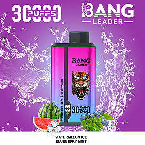 Bang Leader 30K – Dual Flavor Disposable Vape
